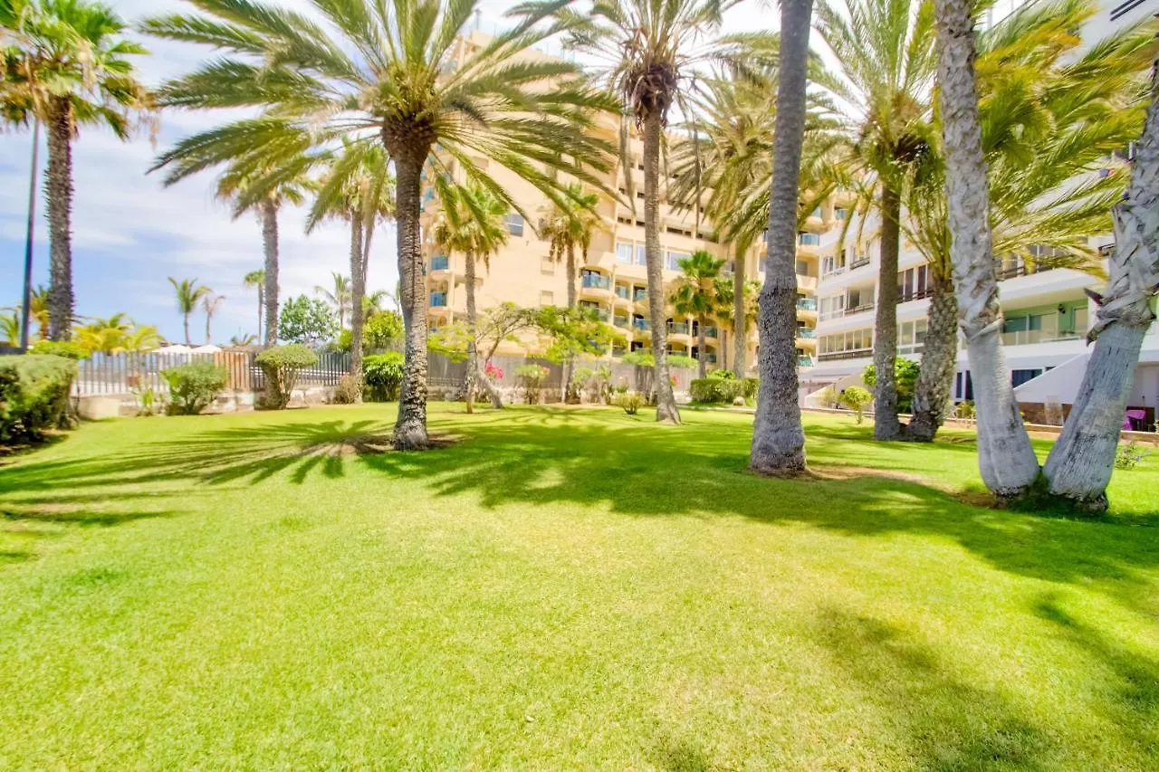 Studio In Top Lage Direkt Am Strand Apartment Arguineguin 0*,  Spain
